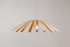 Hexe Pendent Lighting