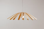 Hexe Pendent Lighting