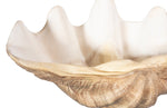 Cast Clam Shell Bowl, Faux Finish, SM