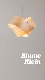 Blume Klein