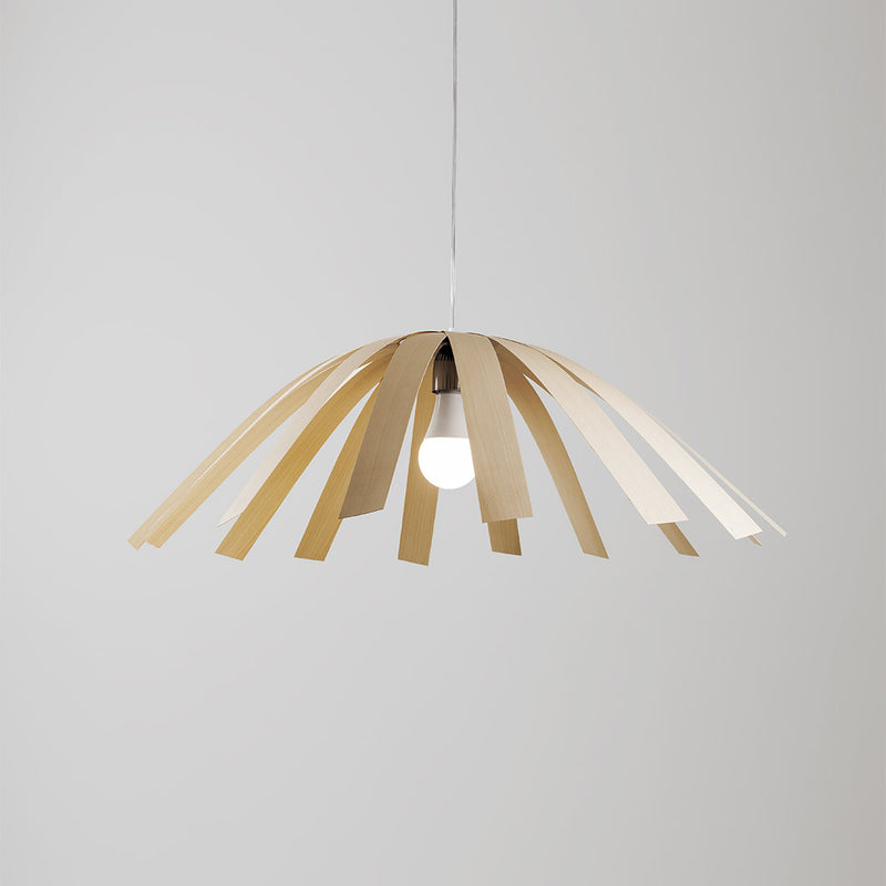 Hexe Pendent Lighting