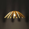 Hexe Pendent Lighting