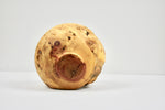 Barely There Box Elder Burl Hollow Form By Alex Bond